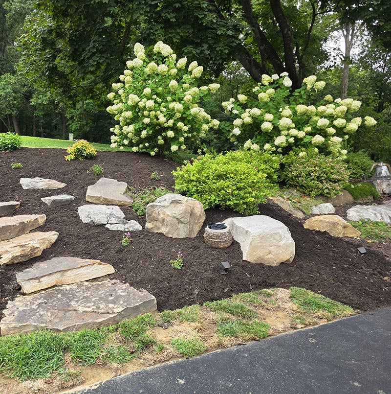 Refreshed mulch bed with boulders, stone steps, and hydrangeas