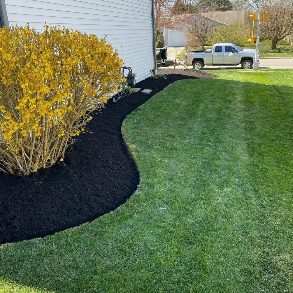 Crisp black mulch bed edged against a healthy striped lawn