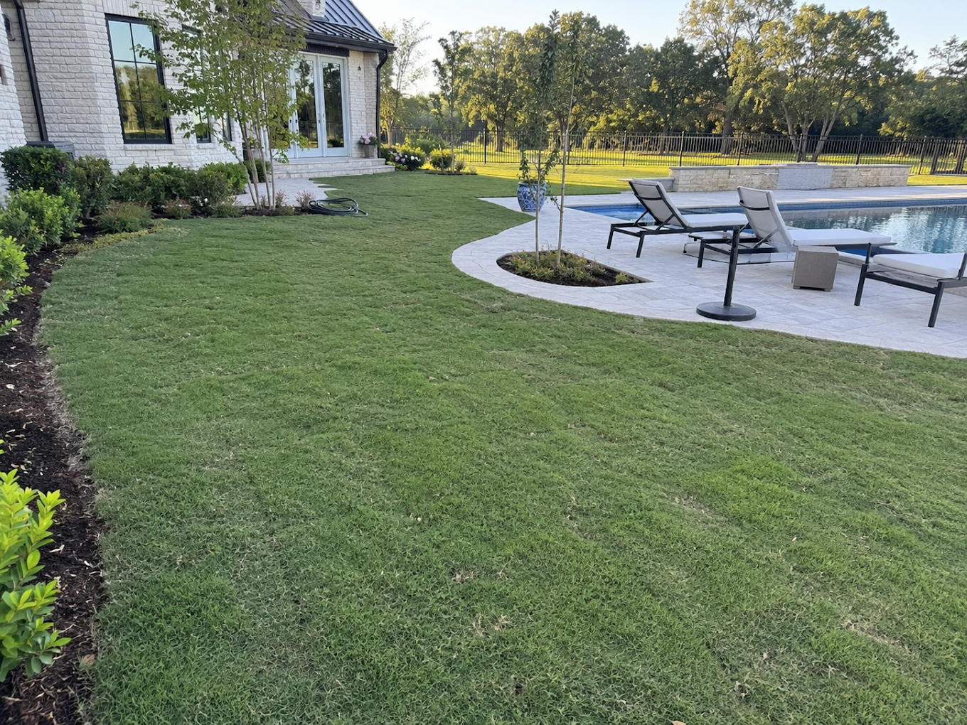 Freshly sodded backyard lawn curving around a pool patio and young trees
