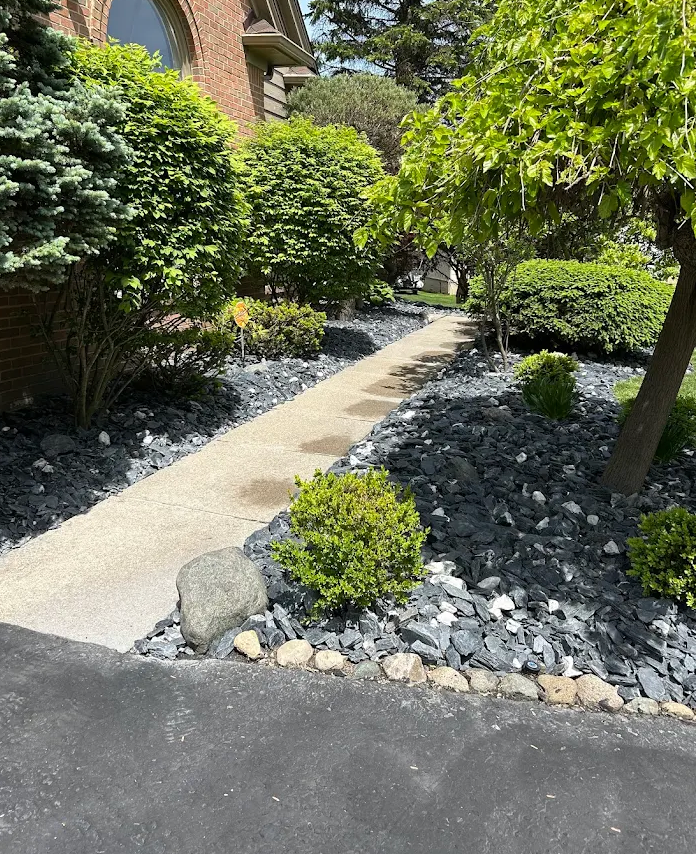 Pruned shrubs and small trees in a slate rock bed beside a walkway