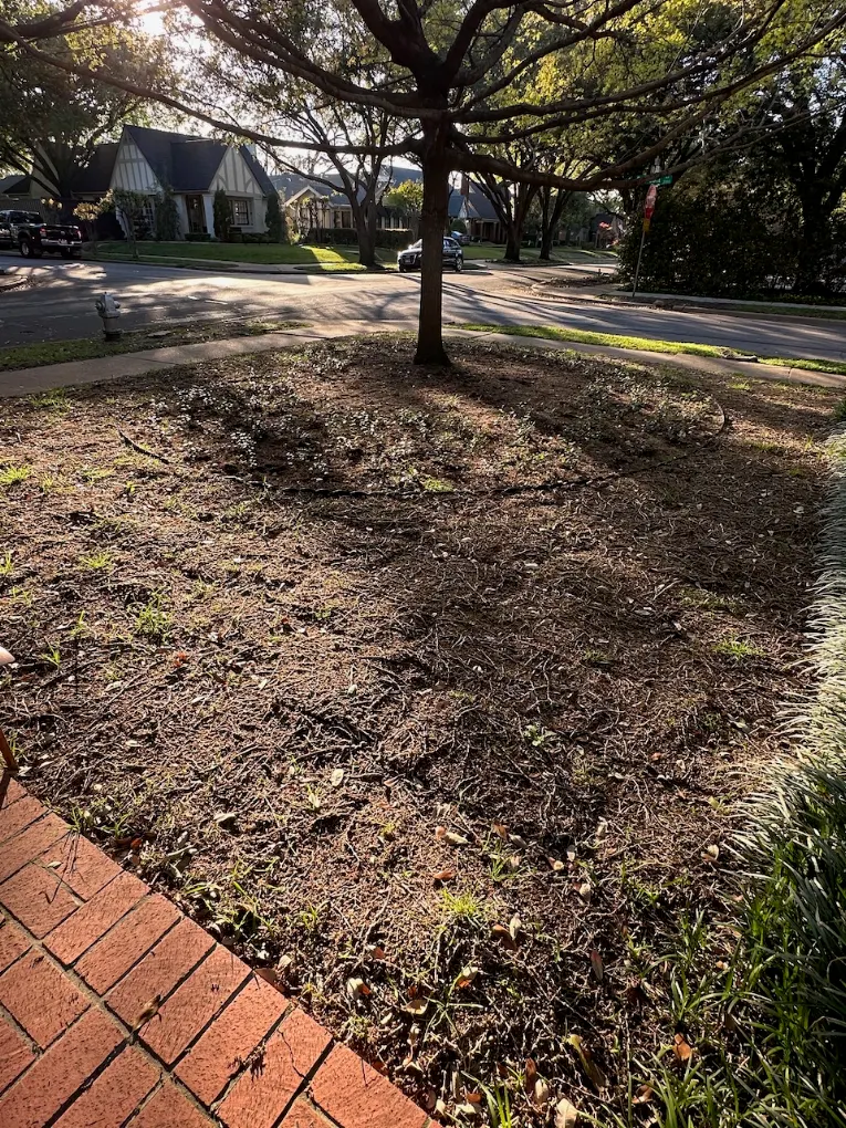 Prepared soil area cleared and graded before new sod installation