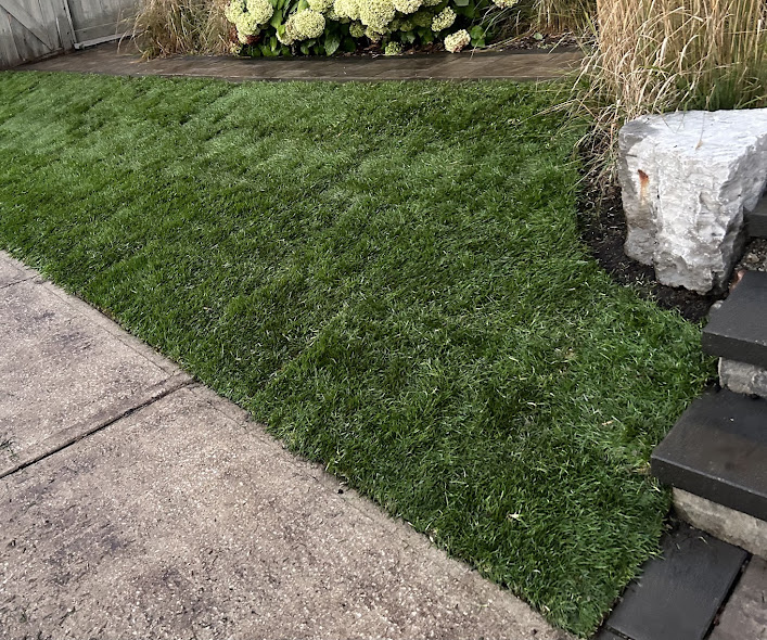 New dark green sod lawn beside a concrete walkway and stone step