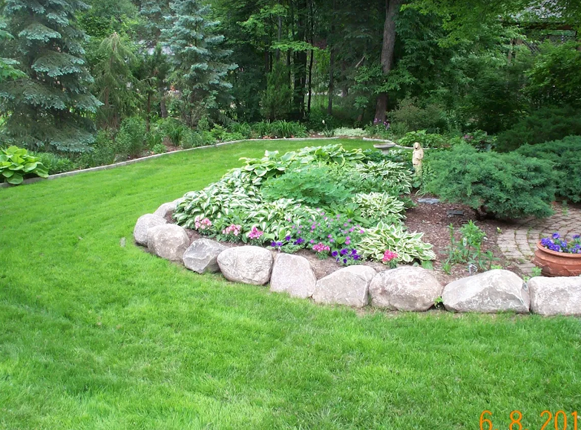 Boulder-edged hosta and perennial garden bed on a wooded lawn