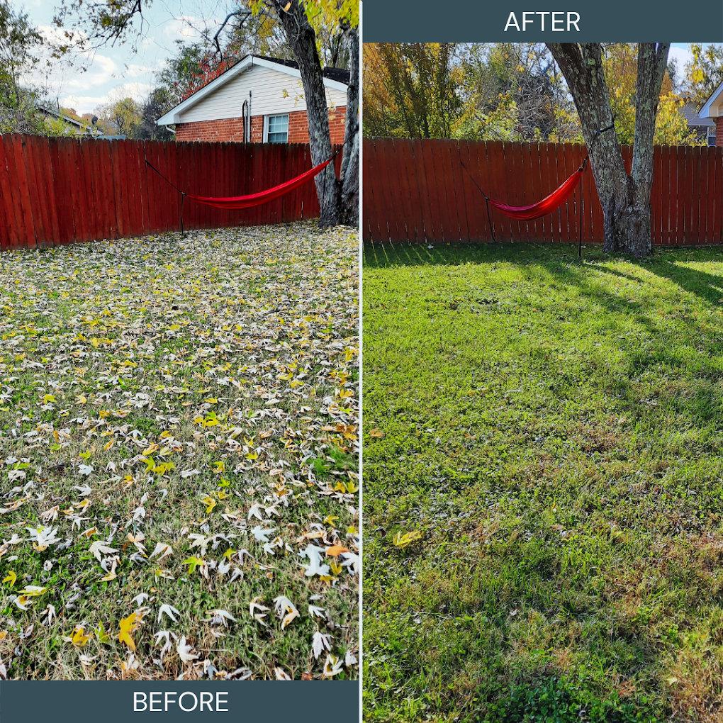 Before and after seasonal leaf cleanup showing a yard cleared of fallen leaves