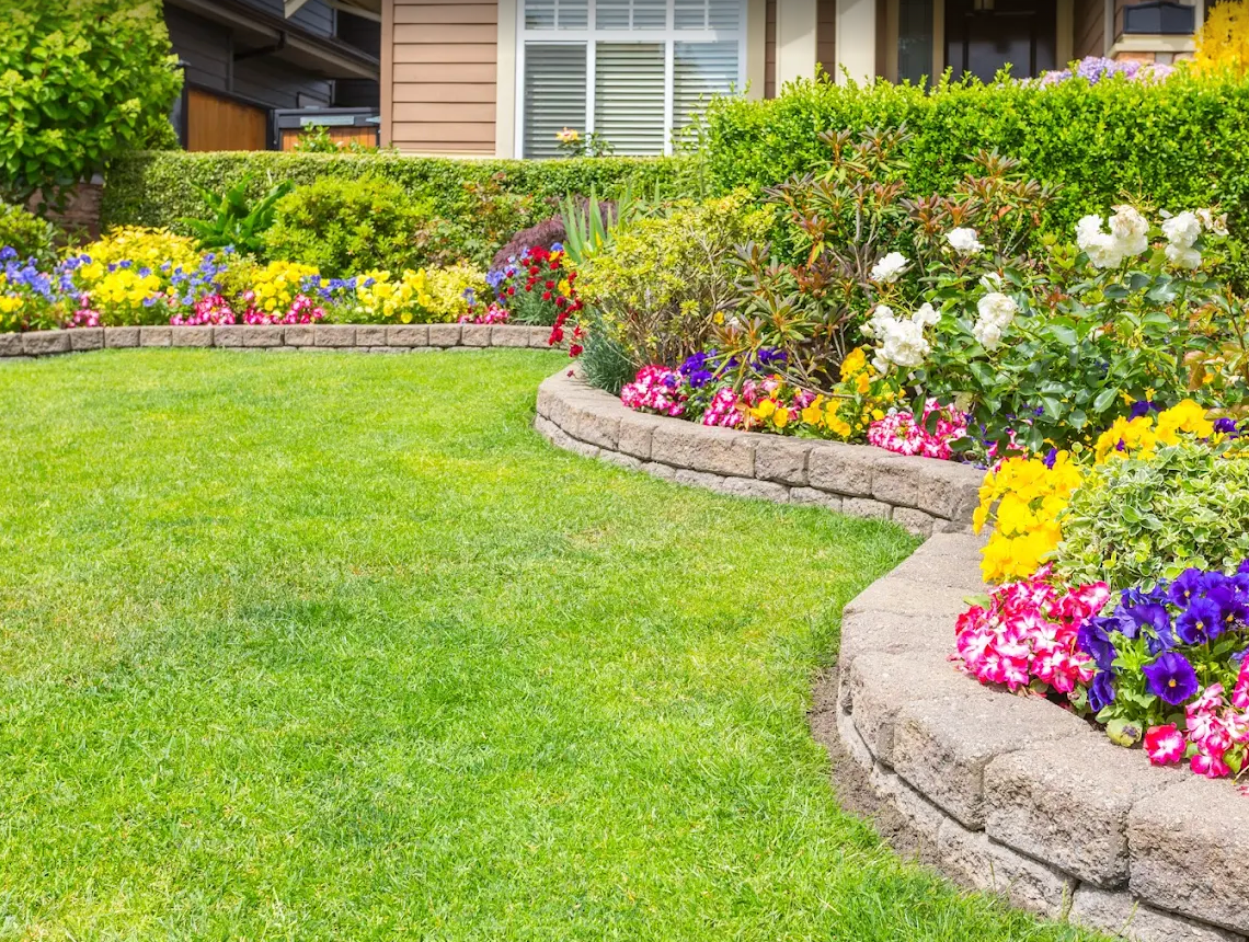 Curved stone-edged flower beds with colourful annuals along a front lawn