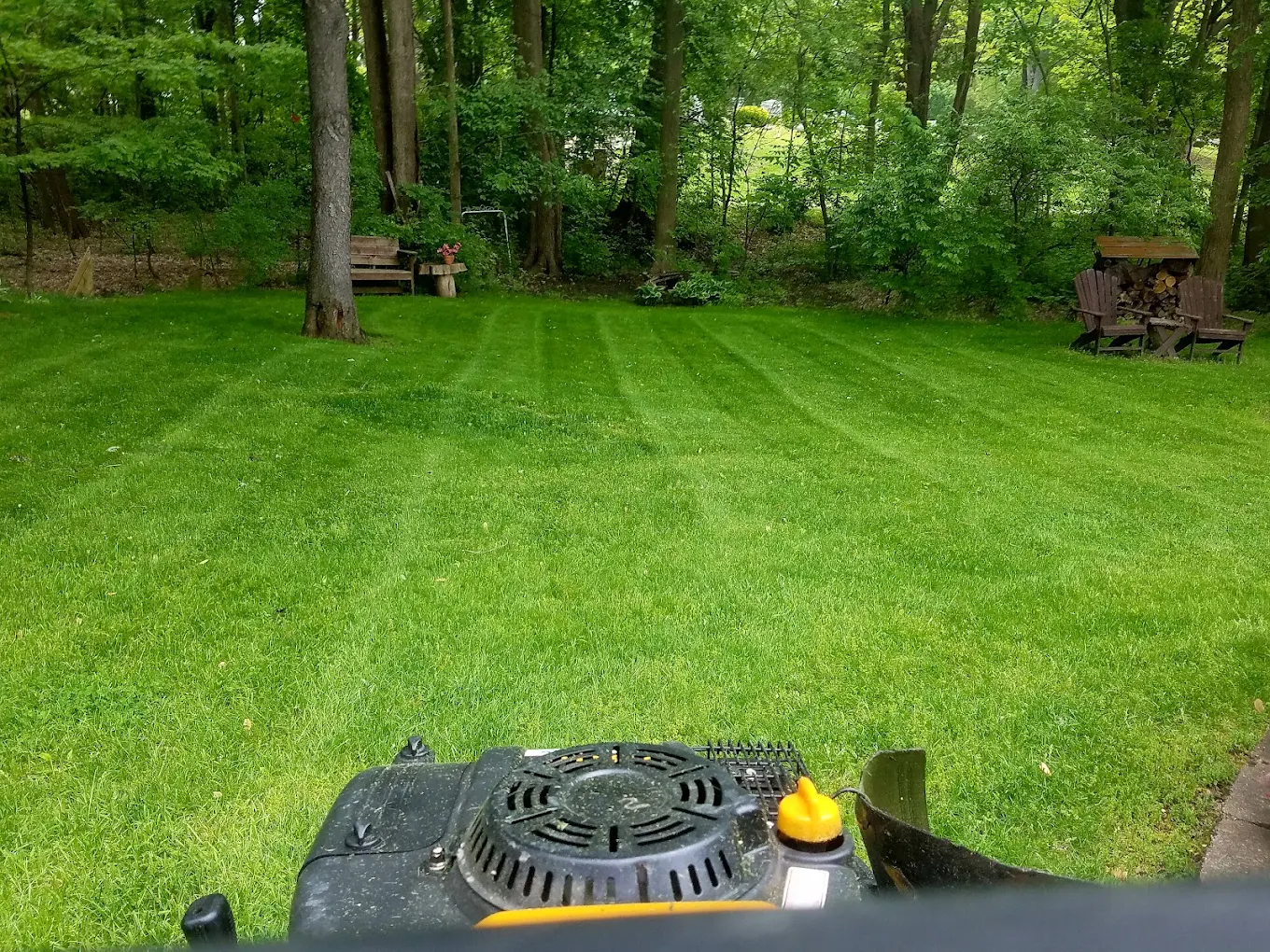 Mower's view of freshly cut stripes on a shaded backyard lawn