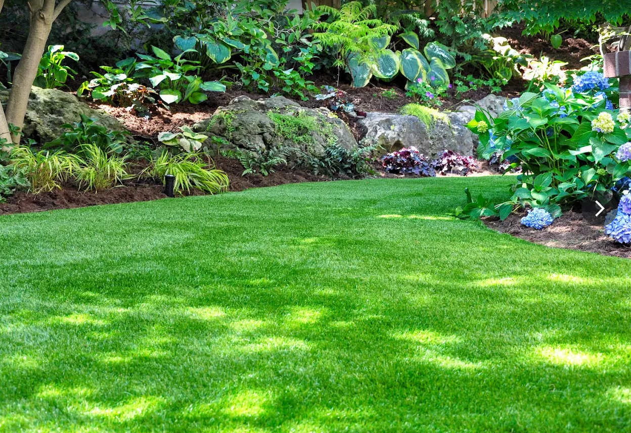 Shaded backyard garden bed with hostas, hydrangeas, and natural stone edging
