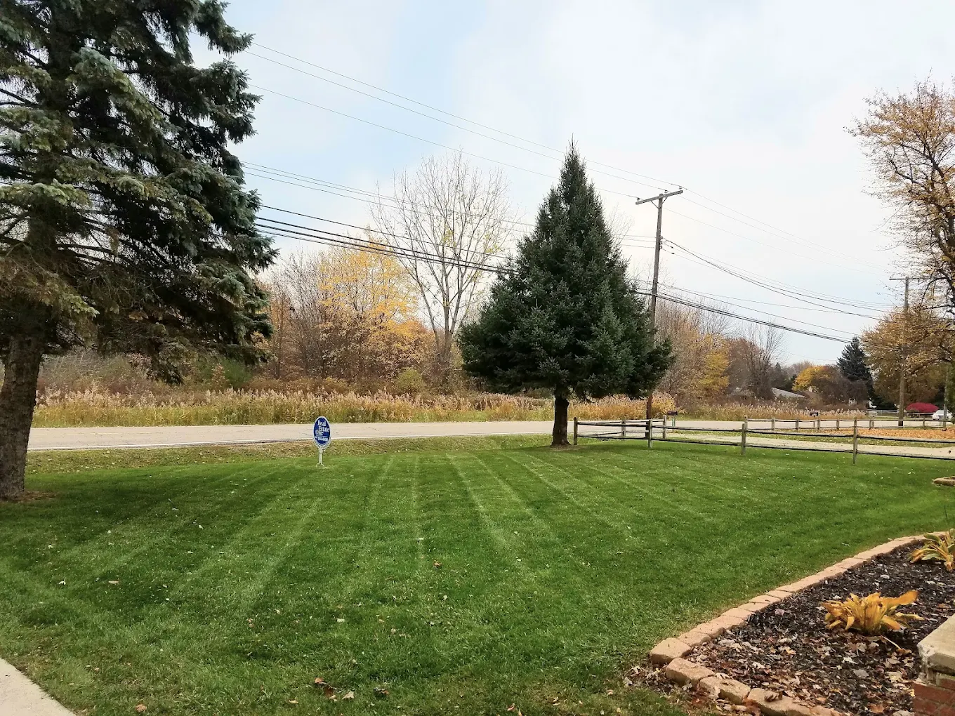Striped front lawn with spruce trees and a brick-edged mulch bed